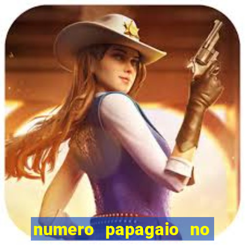 numero papagaio no jogo do bicho